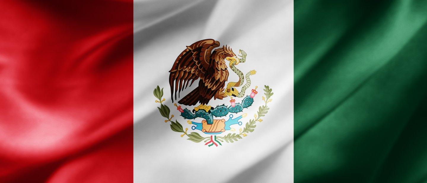 墨西哥国旗, eagle with a snake in its mouth perched on a cactus centered in a white background, green section to the left, red section to the right